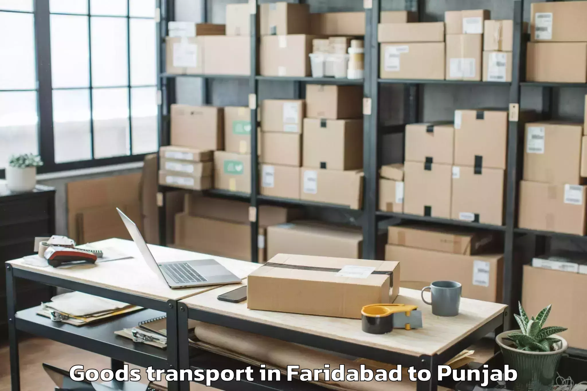 Affordable Faridabad to Desh Bhagat University Mandi G Goods Transport